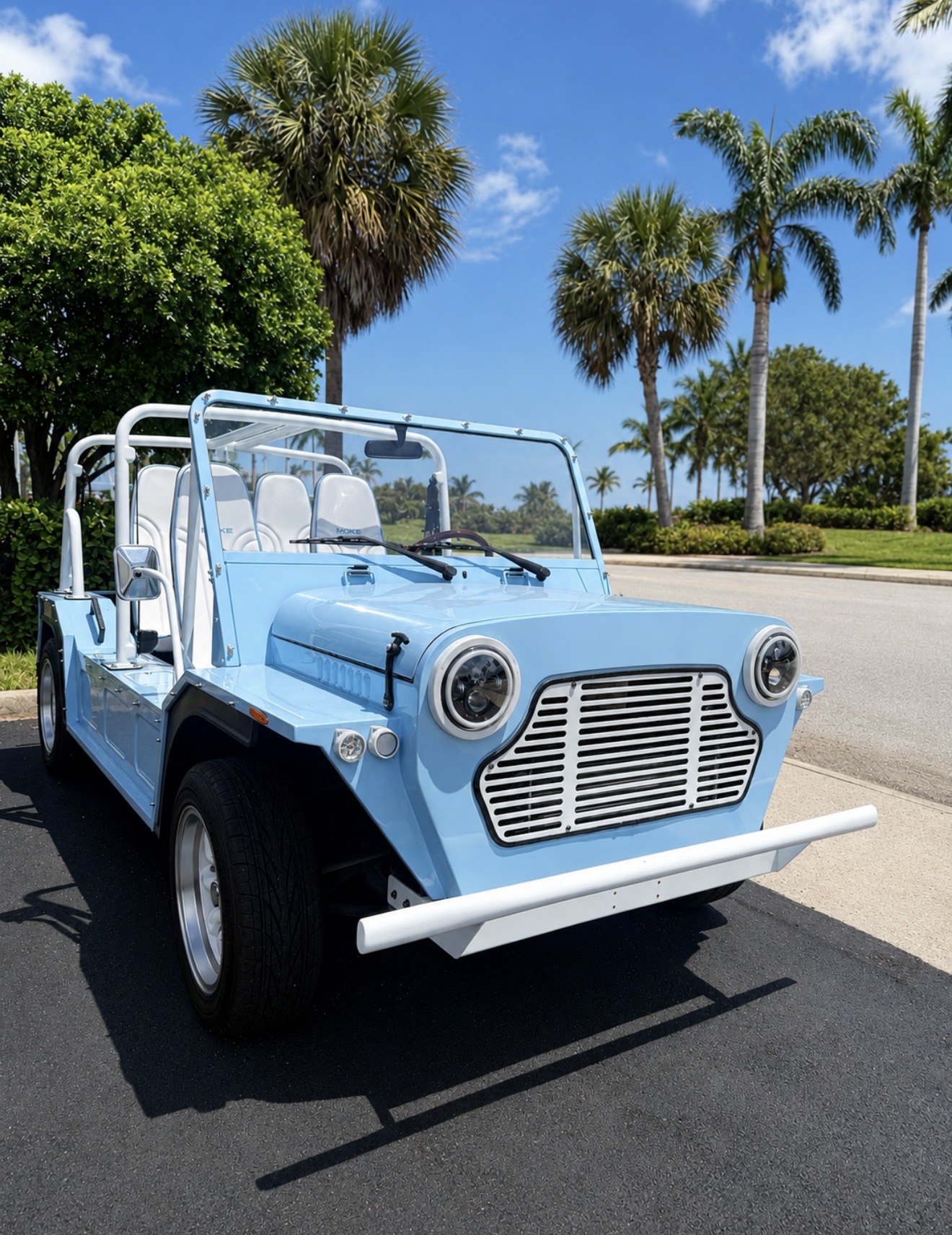 2016 Moke 2016 Gas 5-Speed